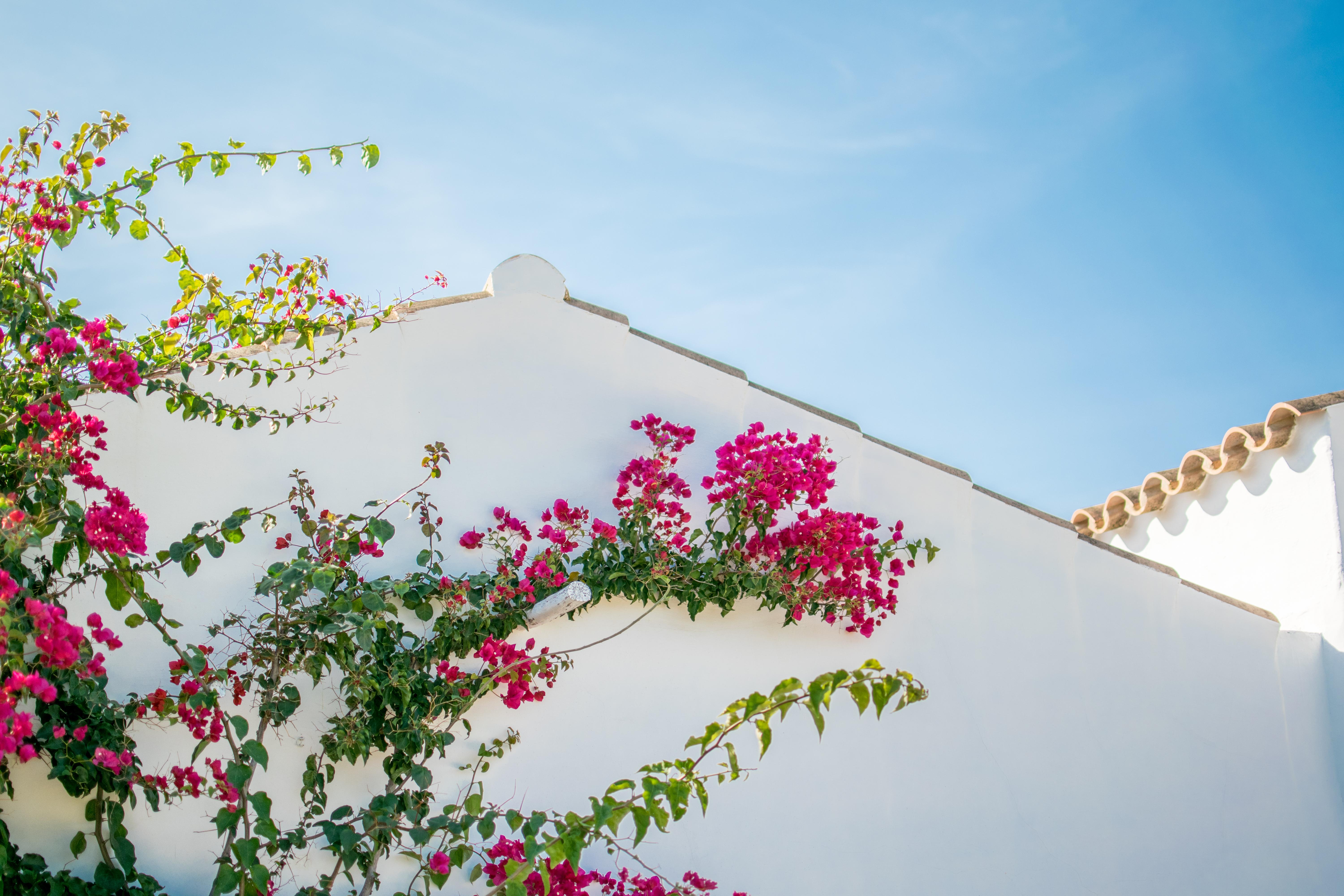 Torralbenc, A Small Luxury Of The World 5* Cala En Porter (Menorca)